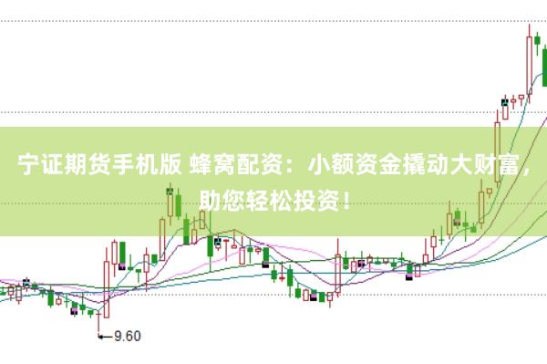 宁证期货手机版 蜂窝配资：小额资金撬动大财富，助您轻松投资！