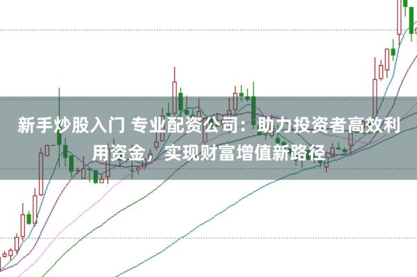 新手炒股入门 专业配资公司：助力投资者高效利用资金，实现财富增值新路径