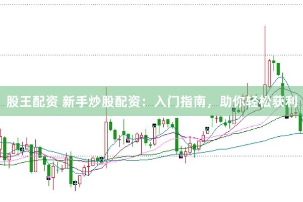 股王配资 新手炒股配资：入门指南，助你轻松获利