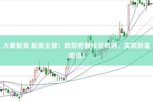 大象配资 配资主管：助您把握投资机遇，实现财富增值！