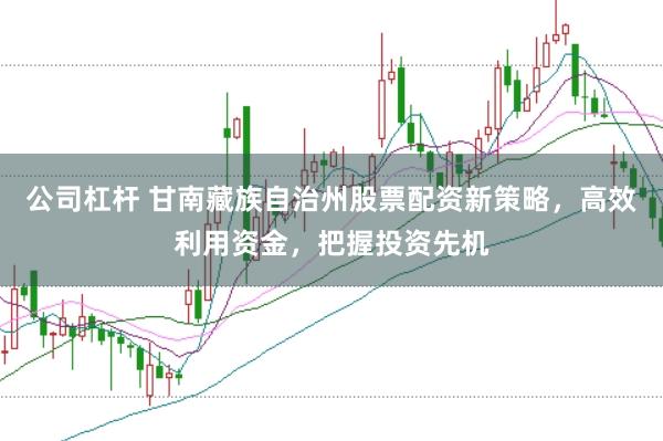 公司杠杆 甘南藏族自治州股票配资新策略，高效利用资金，把握投资先机
