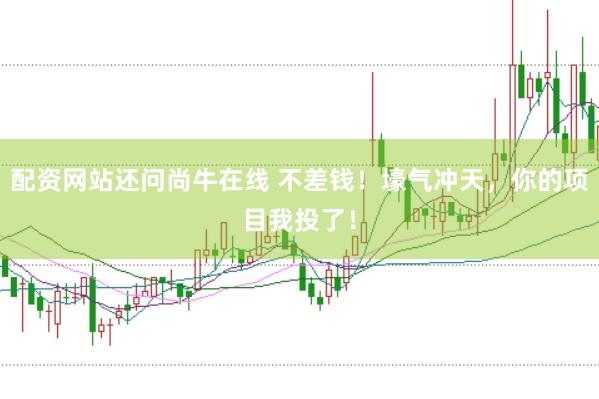 配资网站还问尚牛在线 不差钱！壕气冲天，你的项目我投了！