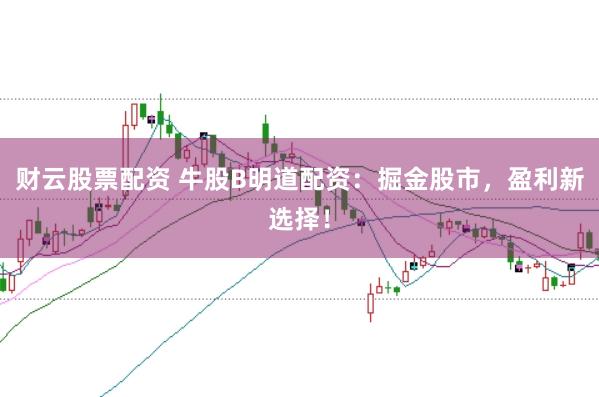 财云股票配资 牛股B明道配资：掘金股市，盈利新选择！