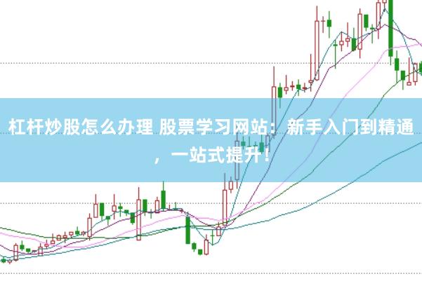杠杆炒股怎么办理 股票学习网站：新手入门到精通，一站式提升！