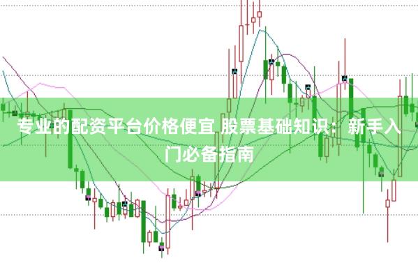 专业的配资平台价格便宜 股票基础知识：新手入门必备指南
