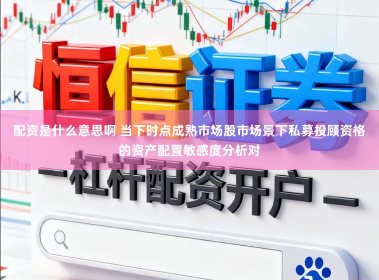 配资是什么意思啊 当下时点成熟市场股市场景下私募投顾资格的资产配置敏感度分析对