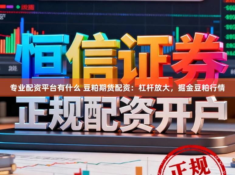 专业配资平台有什么 豆粕期货配资：杠杆放大，掘金豆粕行情